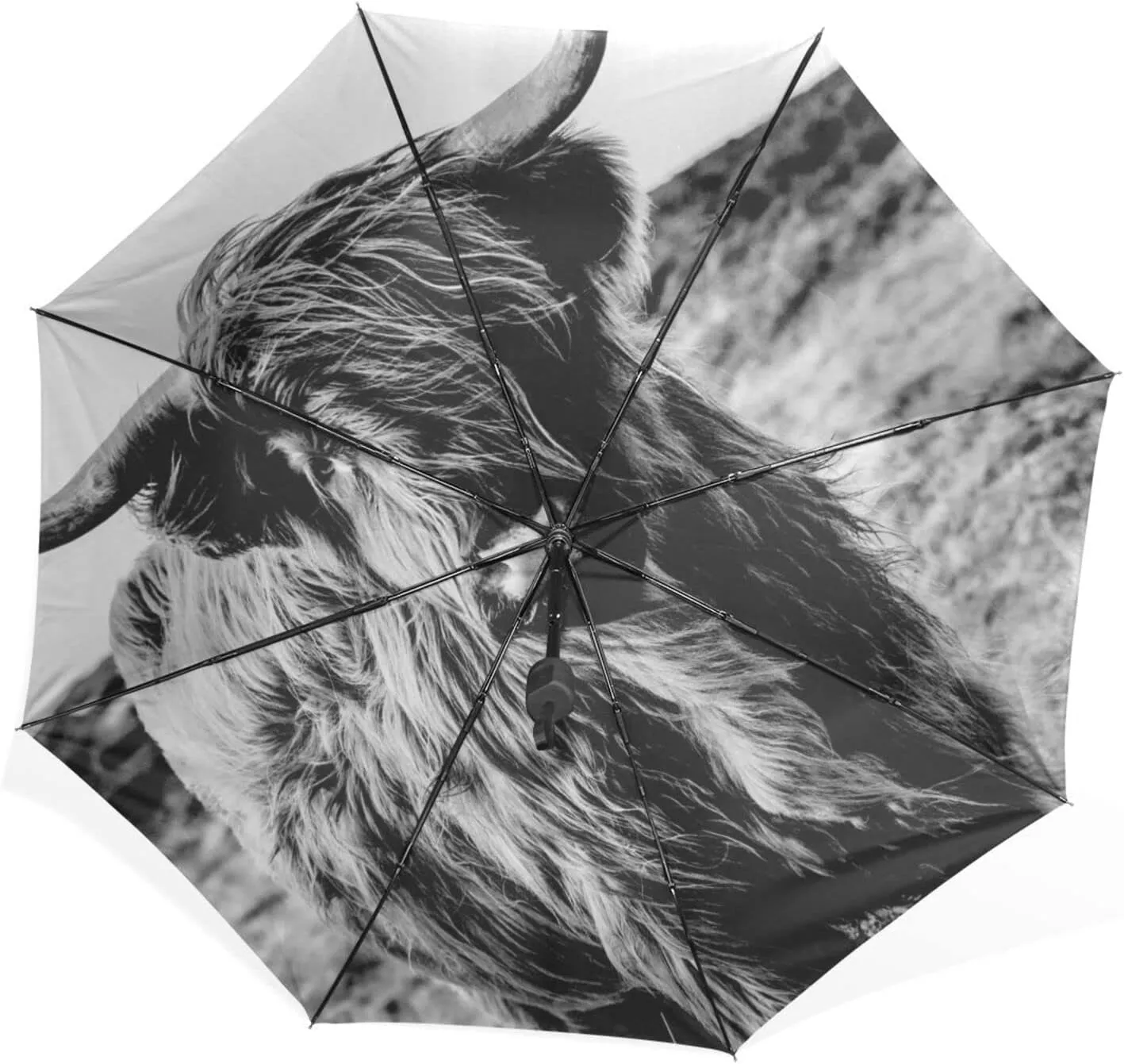 Poeticcity Rain Travel Umbrella, Hand Open Close Windproof Waterproof Folding Umbrella, Compact Canopy Strong Ray Parasol Umbrella