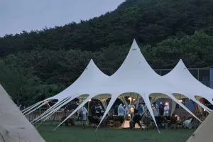 Portable Outdoor Canopy for Family Fun, Waterproof and Sturdy, for Camping and Picnics, Spacious 289㎡