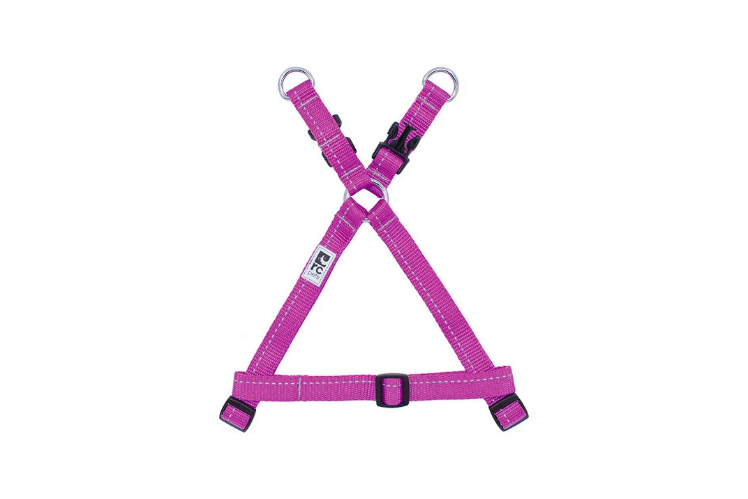 Primary Step-In Harness (Medium) | RC Pets