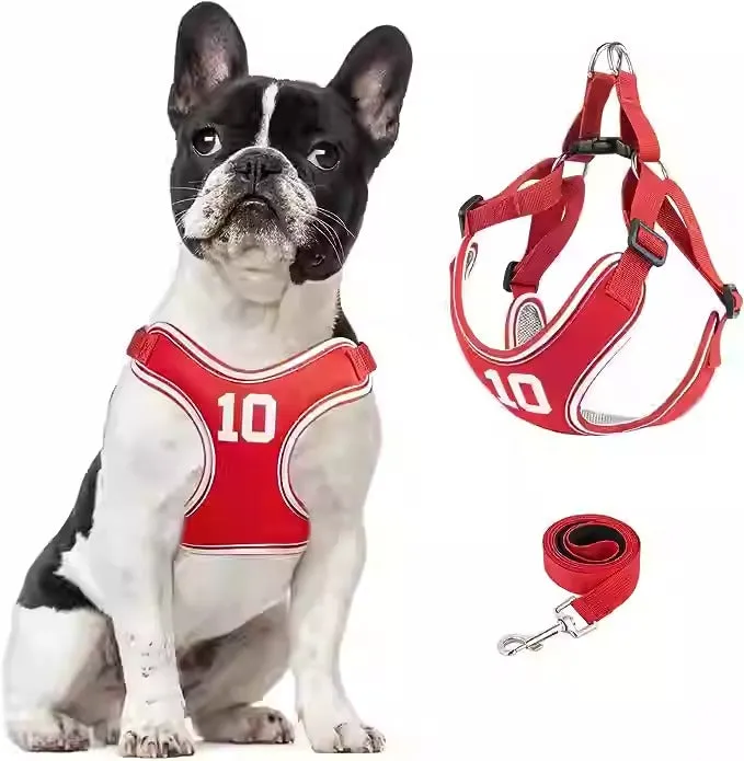PupMode Adjustable Frenchie Harness Set – Soft Secure and Easy to Use