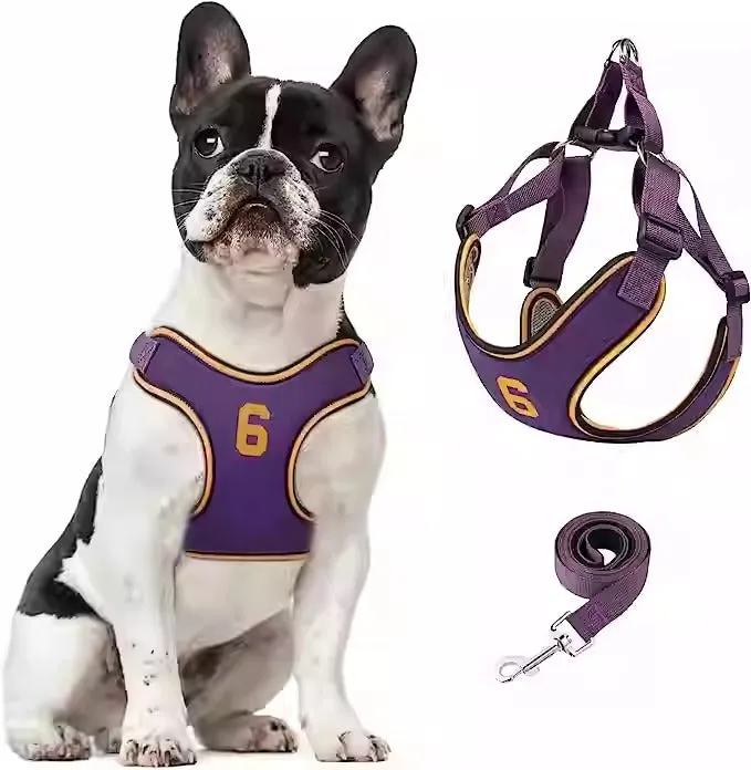 PupMode Adjustable Frenchie Harness Set – Soft Secure and Easy to Use
