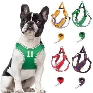 PupMode Adjustable Frenchie Harness Set – Soft Secure and Easy to Use