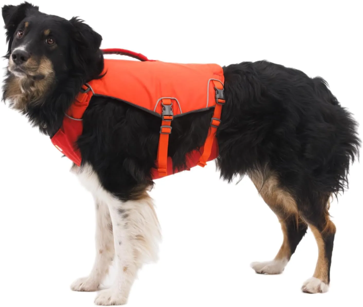 Ruffwear, Confluence Life Jacket for Dogs, Comfortable and Adjustable Dog Life Jacket with Reinforced Handles, Leash Connection, and Reflective Accents, Biolumin Blue, Small