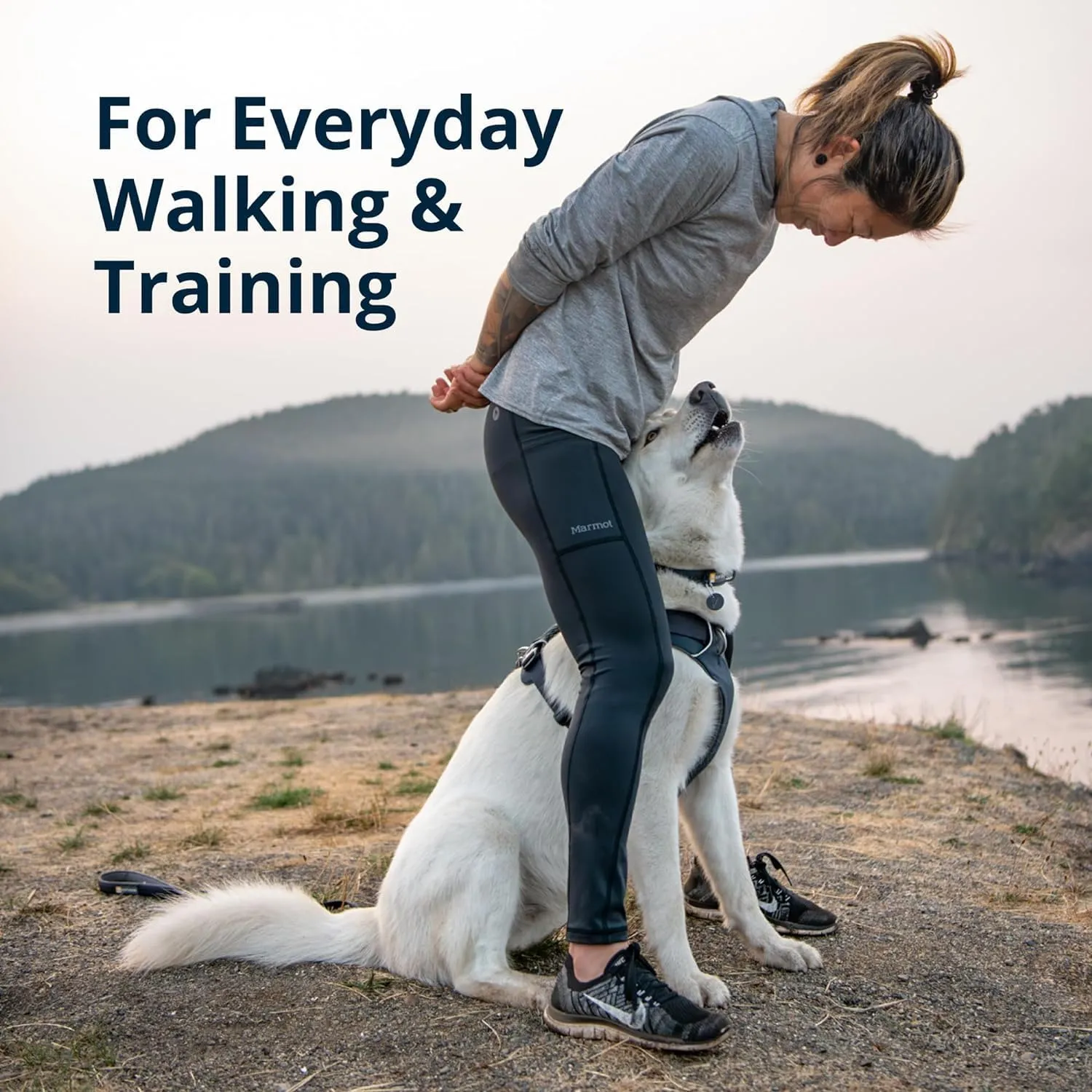 Ruffwear, Front Range Dog Harness, Reflective Soft Padded Everyday Harness with Dual Leash Clips, Adjustable and Lightweight Fit for Training or Walking for All Dogs, River Rock Green, X-Small