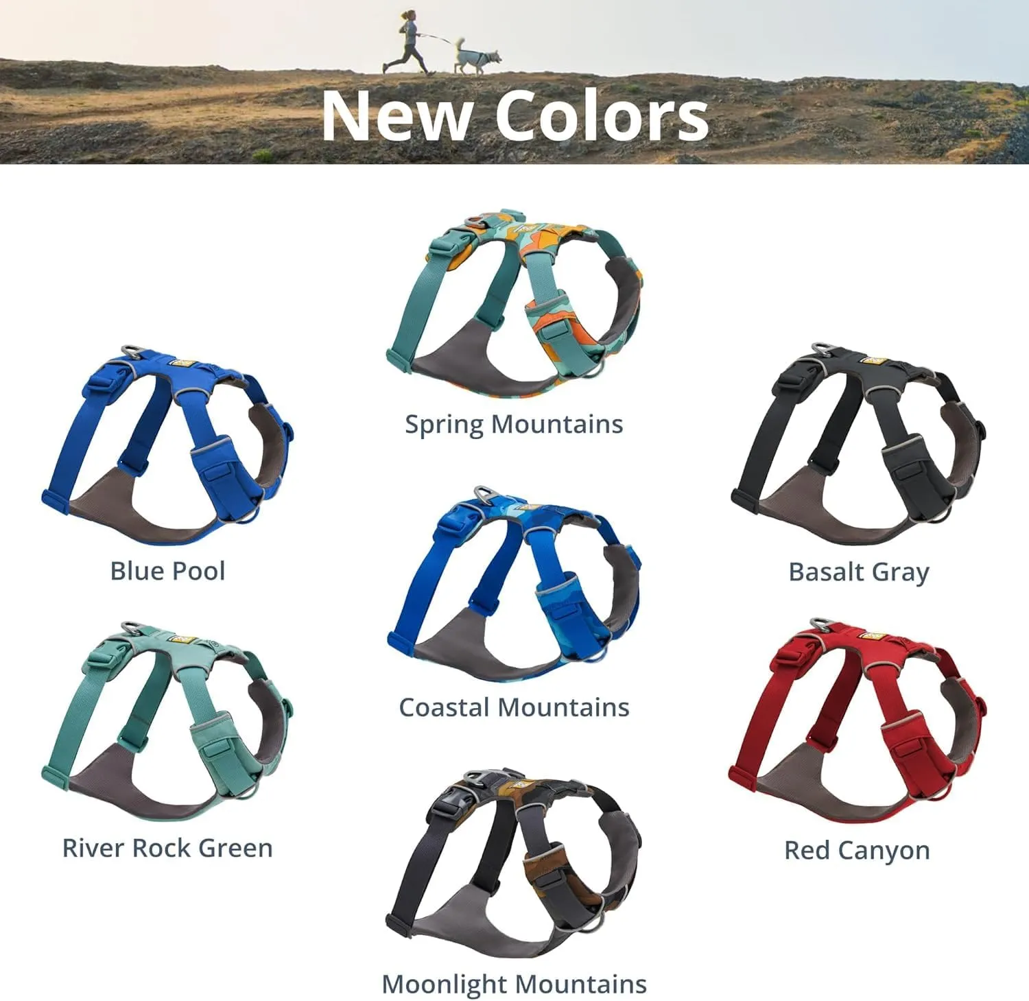 Ruffwear, Front Range Dog Harness, Reflective Soft Padded Everyday Harness with Dual Leash Clips, Adjustable and Lightweight Fit for Training or Walking for All Dogs, River Rock Green, X-Small