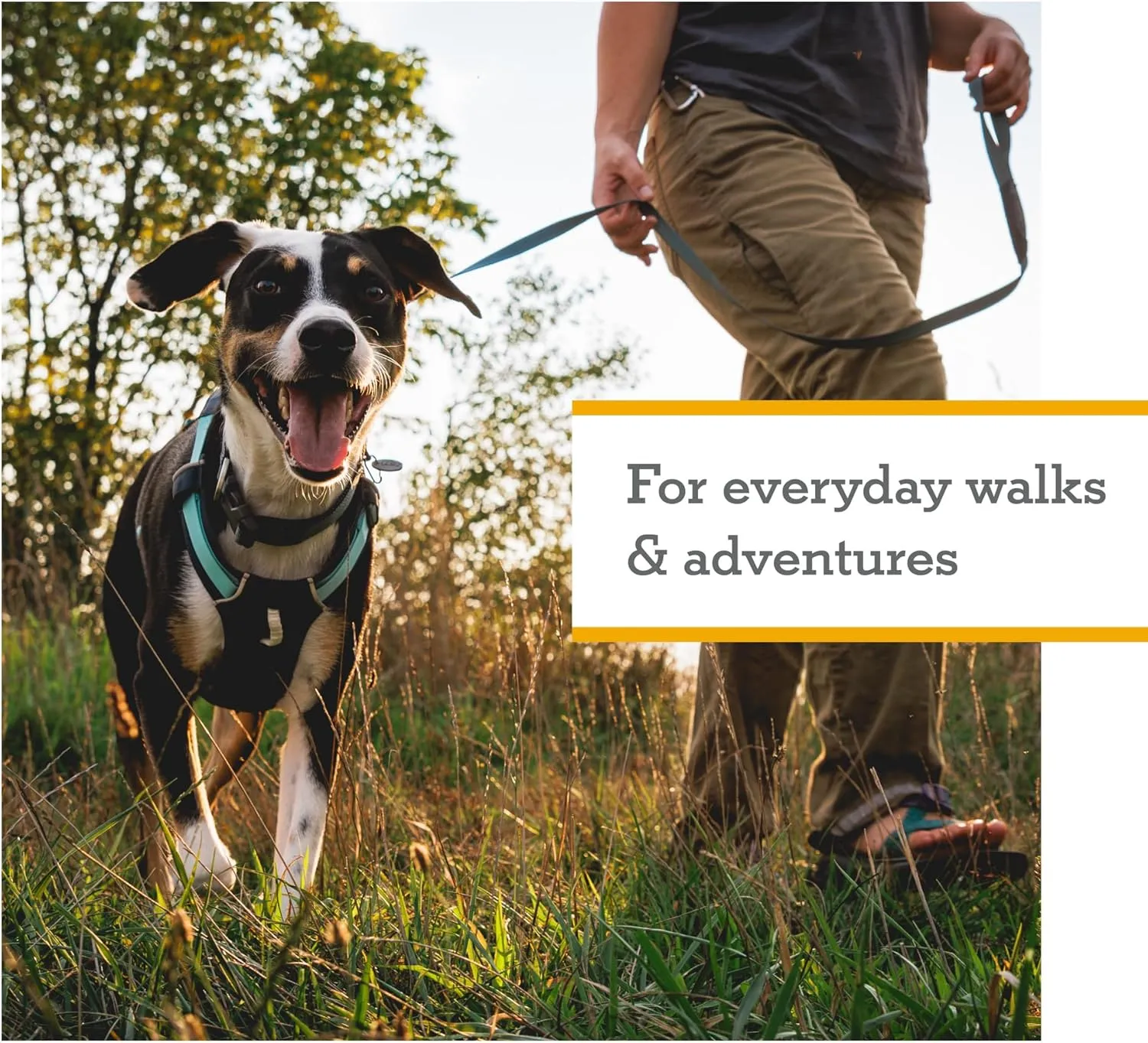 Ruffwear, Hi & Light, Everyday Lightweight Dog Harness, Trail Running, Walking, Hiking, All-Day Wear, Basalt Gray, X-Small