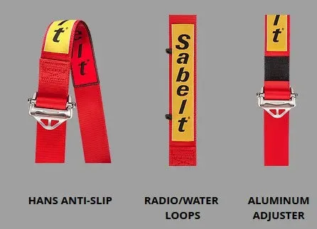 Sabelt Enduro Silver – Full 2″ Harness - FIA 2030