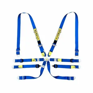 Sabelt Enduro Silver – Full 2″ Harness - FIA 2030