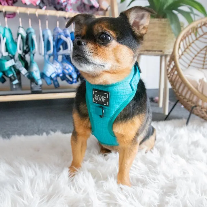 Sassy Woof Adjustable Harness - Napa