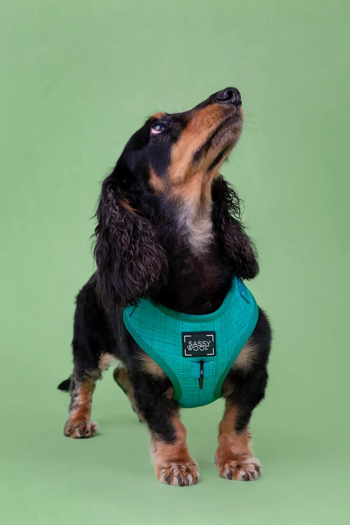 Sassy Woof Adjustable Harness - Napa