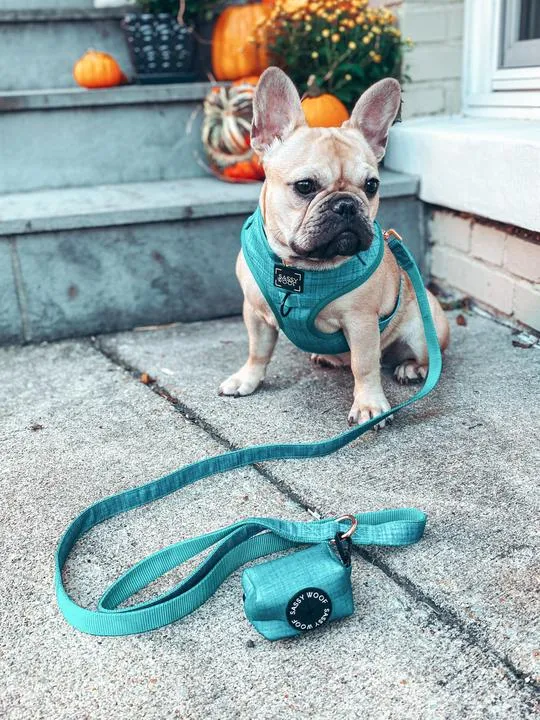 Sassy Woof Adjustable Harness - Napa