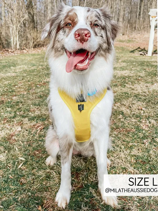Sassy Woof Adjustable Harness - Neon Yellow