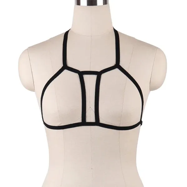 Sexy Assortment of Elastic Harnesses