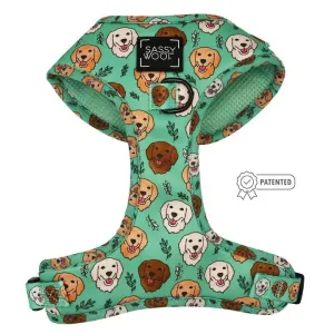 Special edition Adjustable Glam Goldens Harness Direct shipping