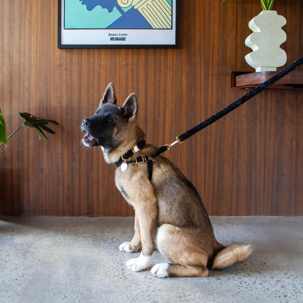 Stormy Nights Cord Harness