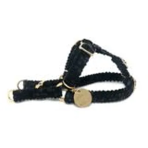 Stormy Nights Cord Harness