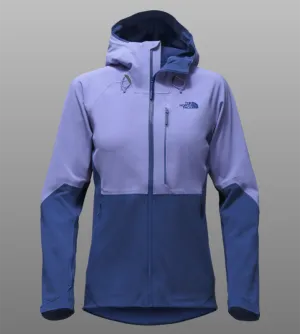 The North Face NF0A3C7L W's Apex Flex GTX 2.0 Jacket