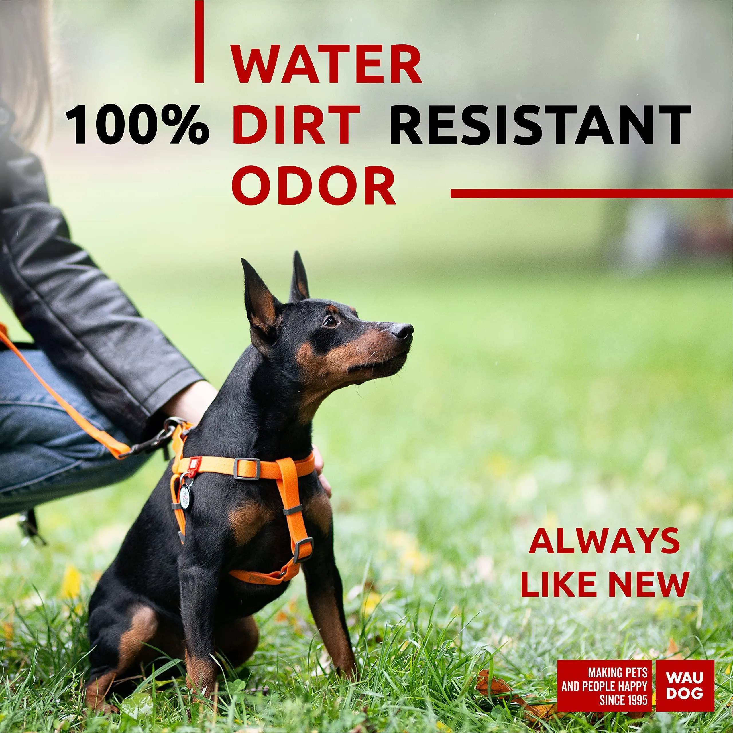 Waterproof Dog Harness   Adjustable Dog Harness for Large Dogs.