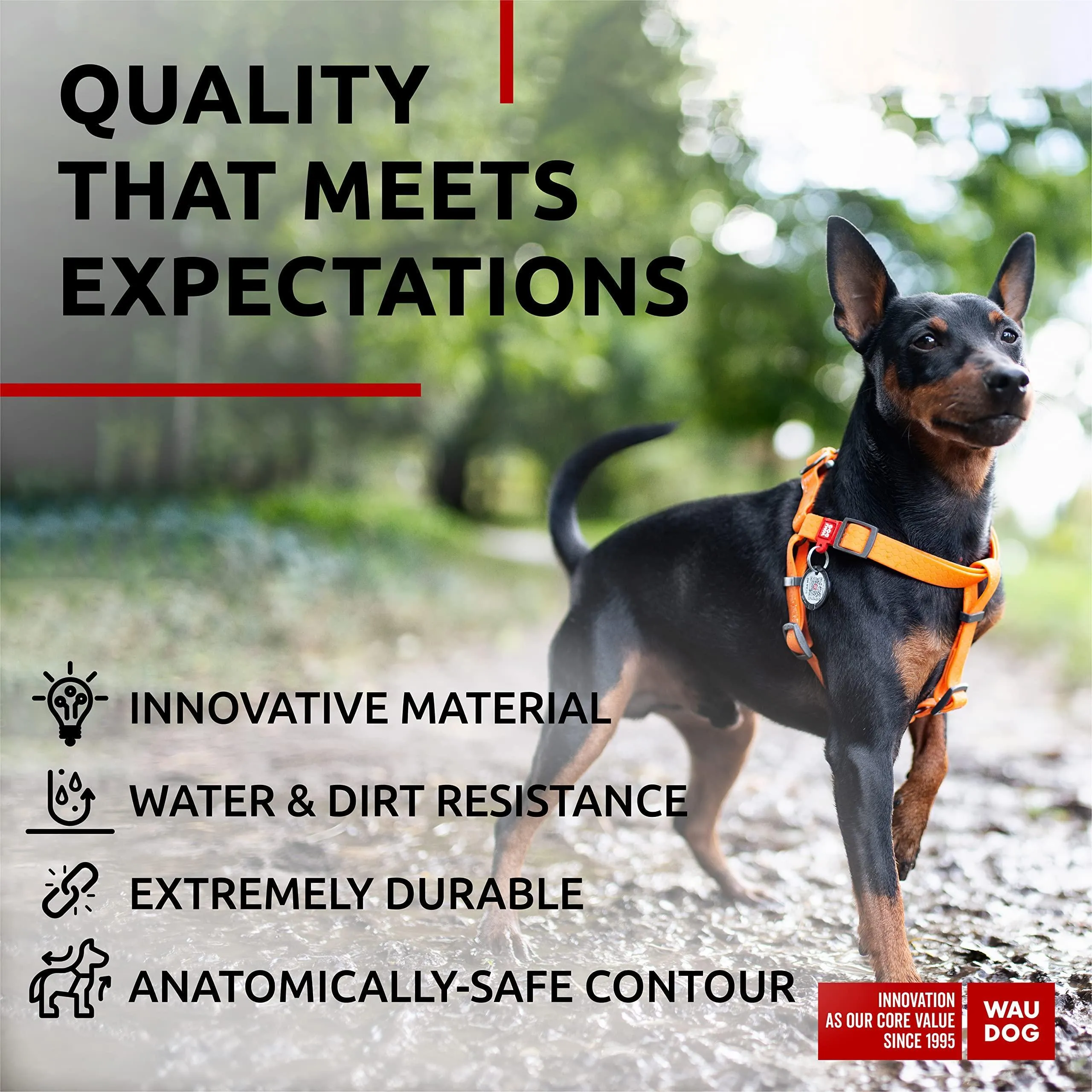 Waterproof Dog Harness   Adjustable Dog Harness for Large Dogs.