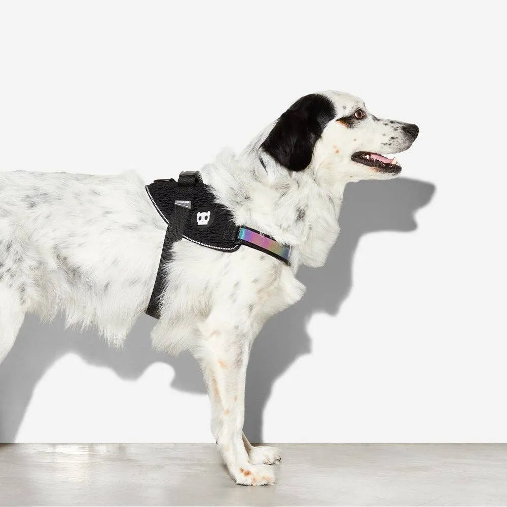 Zee.Dog - Gotham | FlyHarness: Size 2