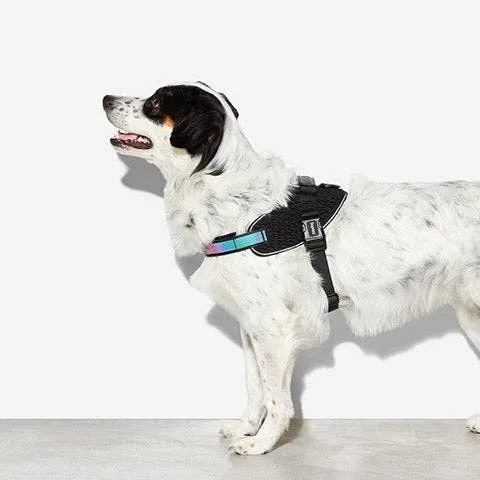 Zee.Dog - Gotham | FlyHarness: Size 2
