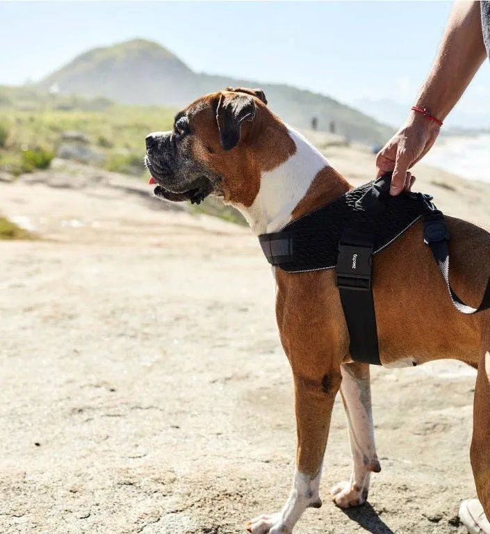 Zee.Dog - Gotham | FlyHarness: Size 2