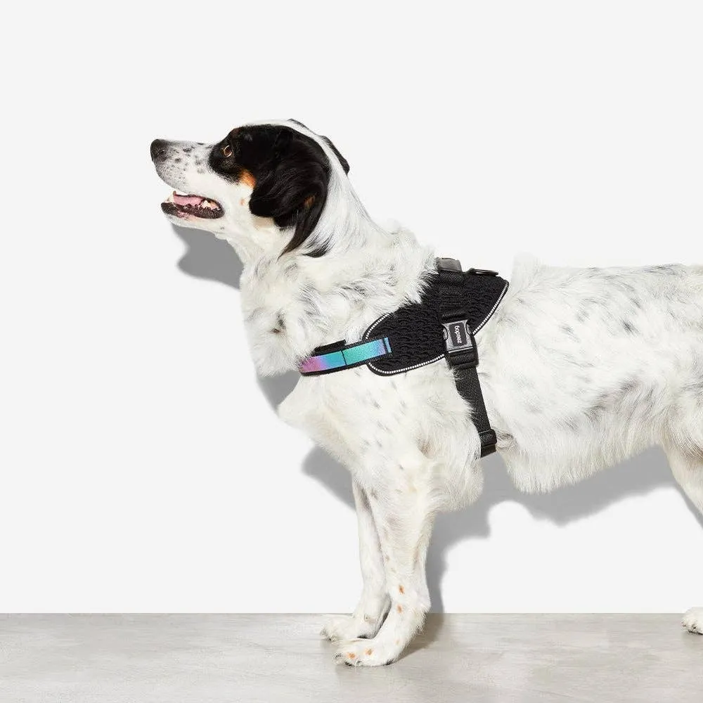 Zee.Dog - Gotham | FlyHarness: Size 2